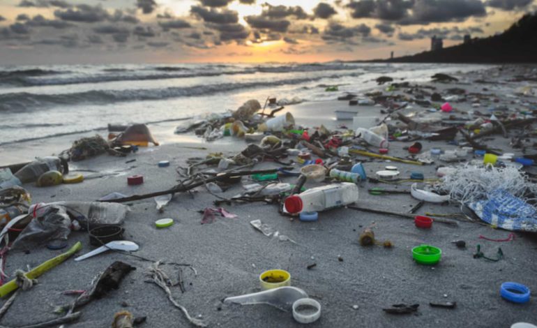Plastic Pollution Policies