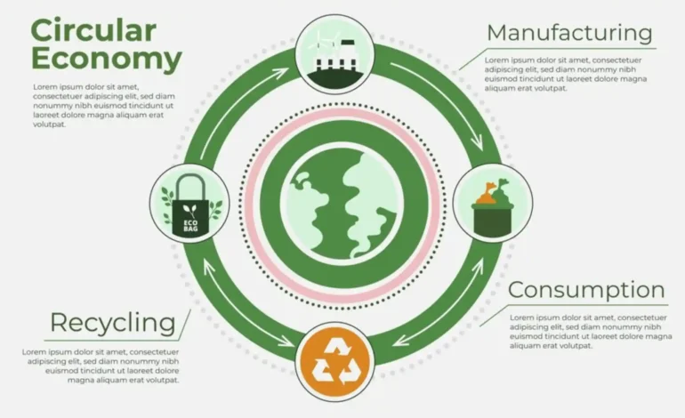 Circular Economy Solutions: Reducing Waste and Promoting Resource Efficiency