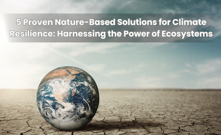 5 Proven Nature-Based Solutions for Climate Resilience: Harnessing the Power of Ecosystems