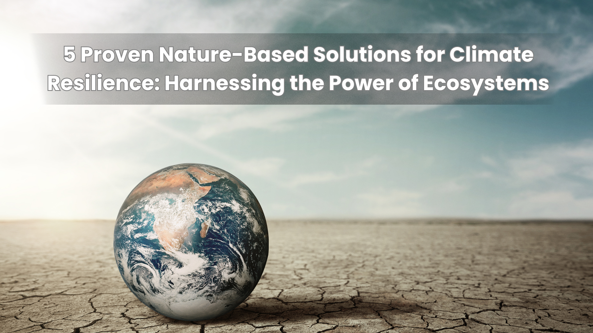5 Proven Nature-Based Solutions for Climate Resilience: Harnessing the Power of Ecosystems