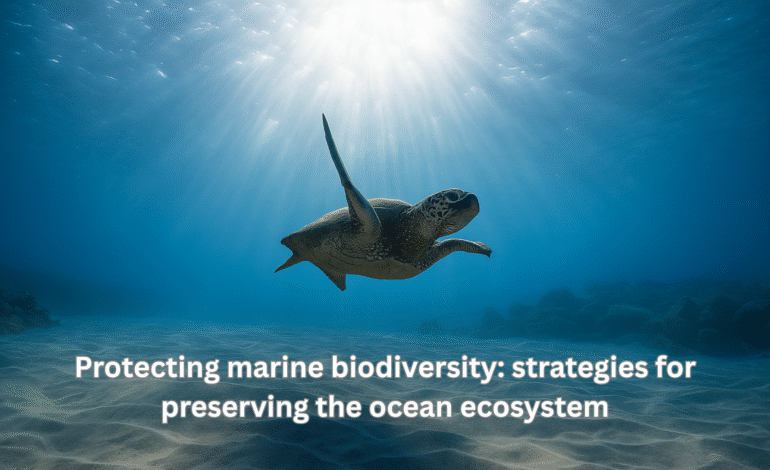 Protecting Marine Biodiversity: Strategies for Preserving The Ocean Ecosystem