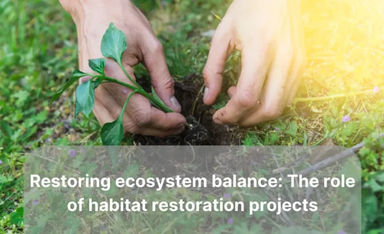 Restoring ecosystem balance: The role of habitat restoration projects