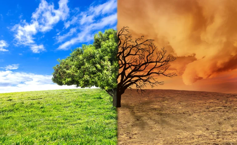 The impact of climate change on biodiversity challenges and solutions.